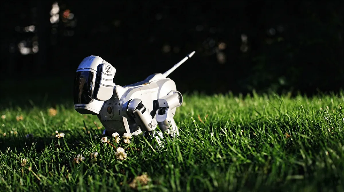 Robot dog from the era - AIBO or Poo-Chi